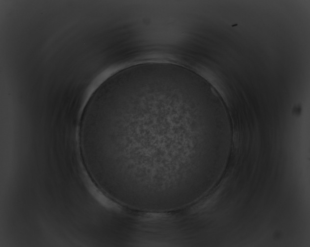 X0000093101482200710031448