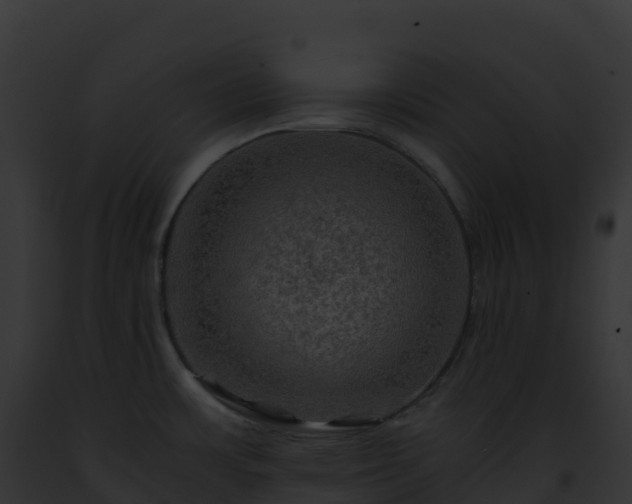X0000093101483200710031448