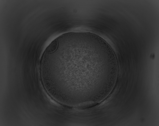 X0000093101486200710031448