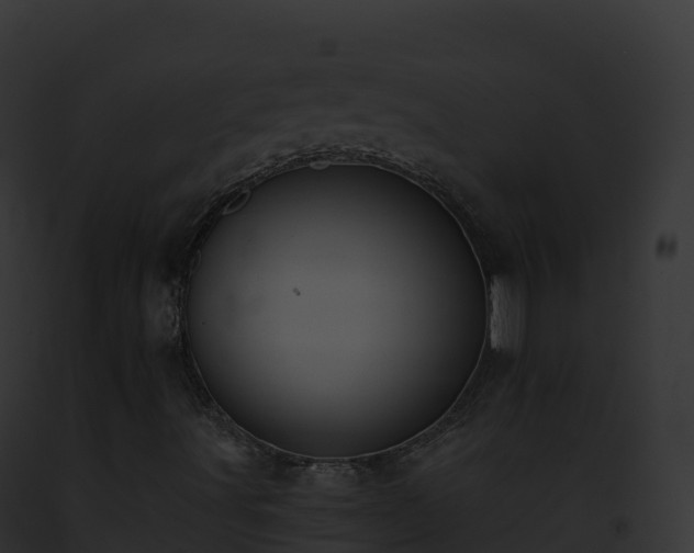 X0000093101491200710031448