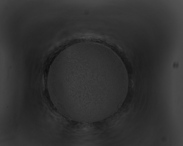 X0000093101493200710031448