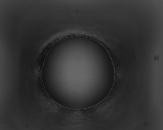 X0000093101495200710031448