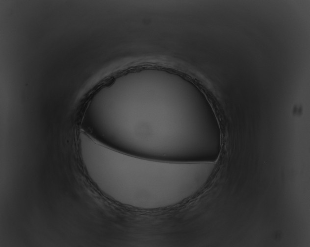 X0000093101496200710031448