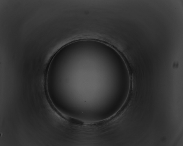 X0000093101500200710031448
