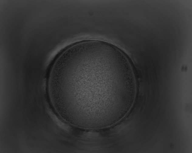 X0000093101503200710031448