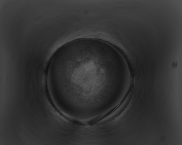 X0000093101506200710031448