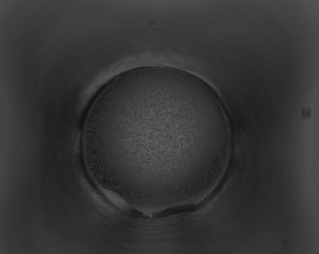 X0000093101507200710031448