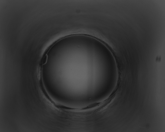 X0000093101510200710031448