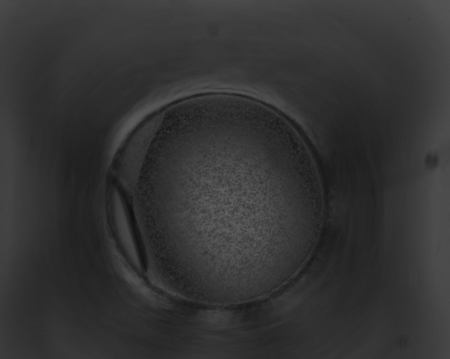 X0000093101511200710031448