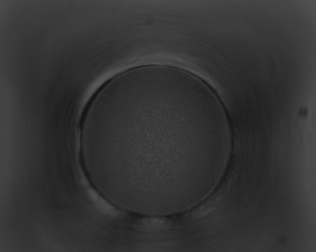 X0000093101515200710031448