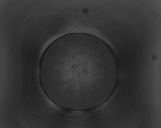 X0000093101517200710031448