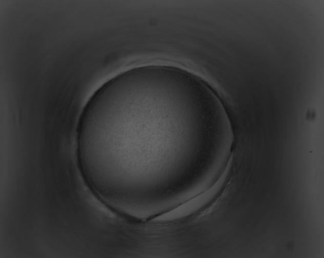 X0000093101518200710031448