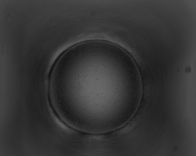X0000093101519200710031448