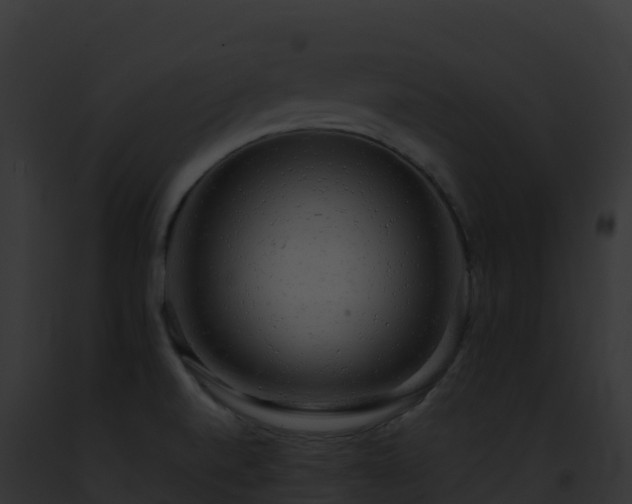 X0000093101520200710031448