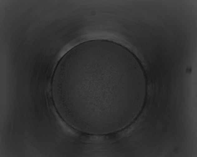 X0000093101521200710031448