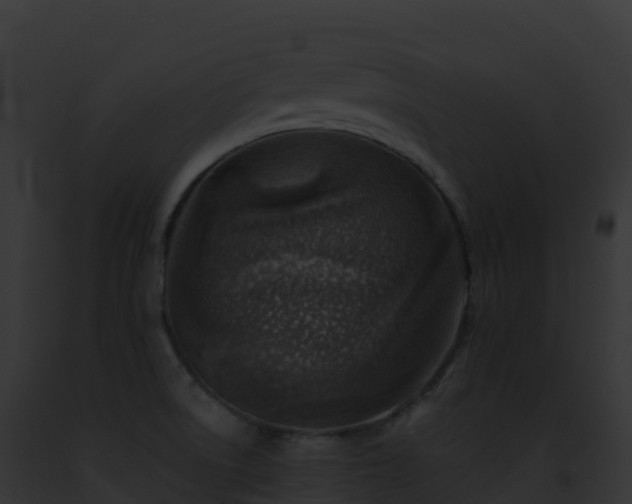 X0000093101522200710031448