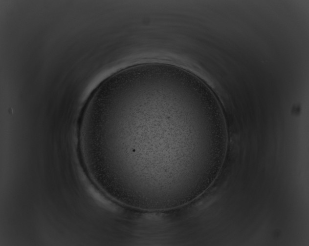 X0000093101523200710031448