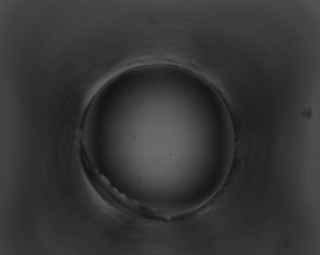 X0000093101524200710031448