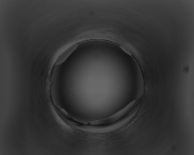 X0000093101528200710031448