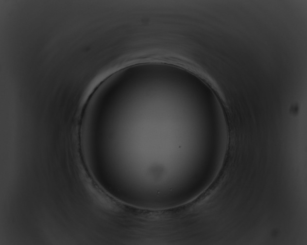 X0000093101530200710031448