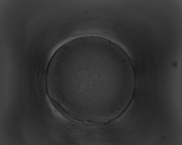 X0000093101534200710031448