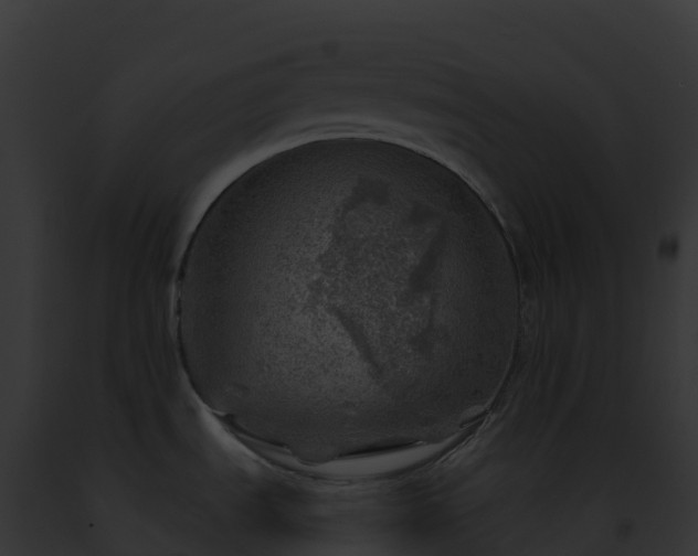 X0000093101535200710031448