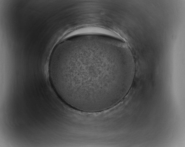X0000093100002200710031838