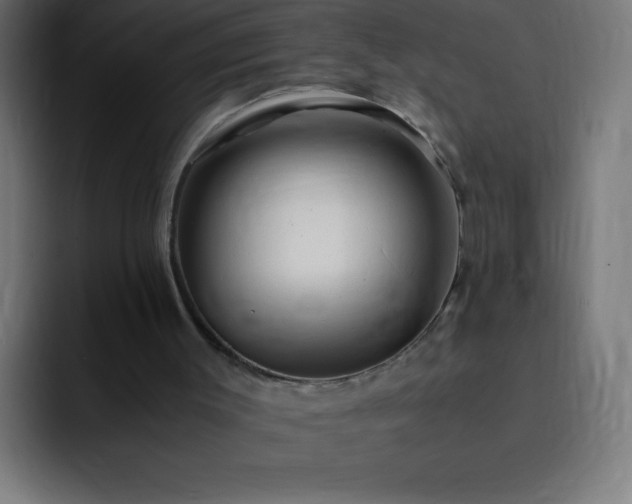 X0000093100003200710031838