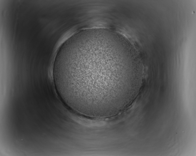 X0000093100004200710031838