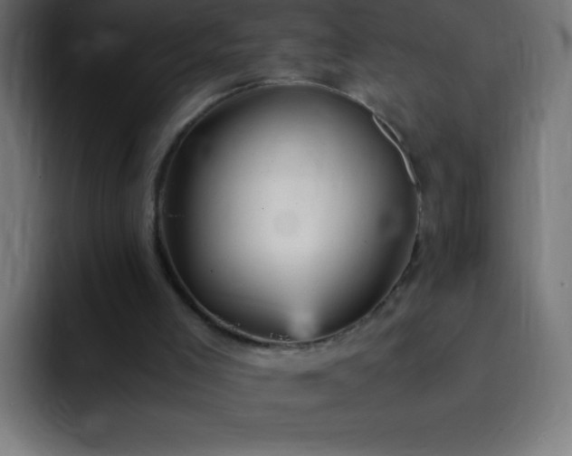 X0000093100005200710031838