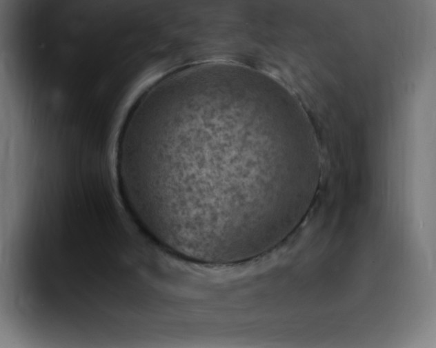 X0000093100006200710031838