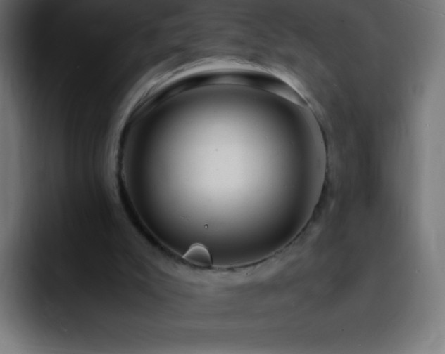 X0000093100007200710031838
