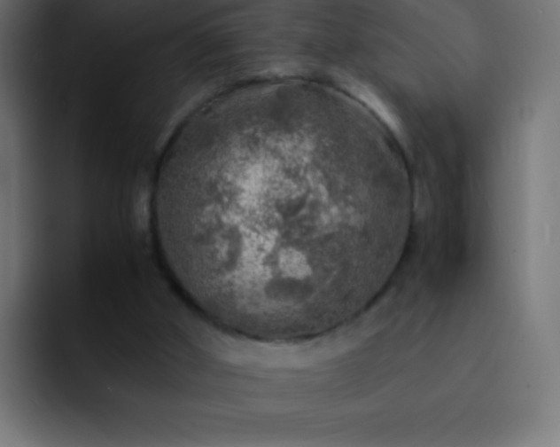 X0000093100010200710031838