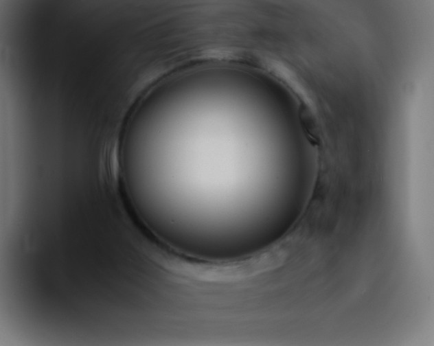 X0000093100011200710031838