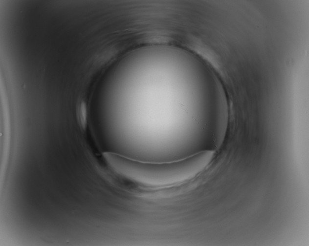 X0000093100013200710031838