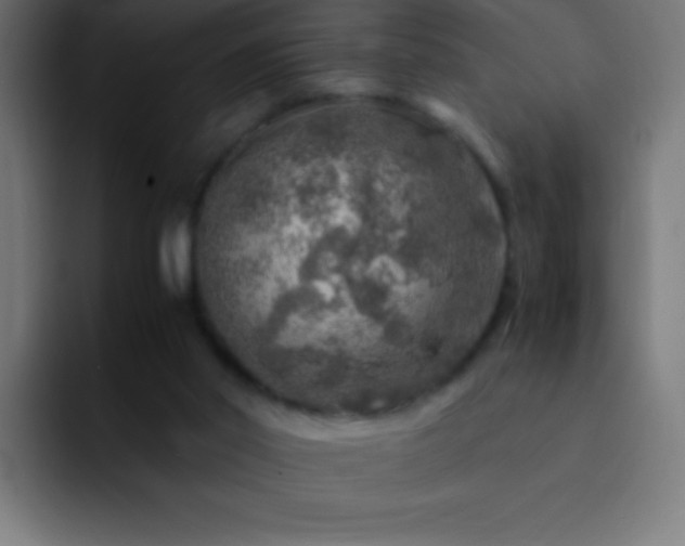X0000093100014200710031838