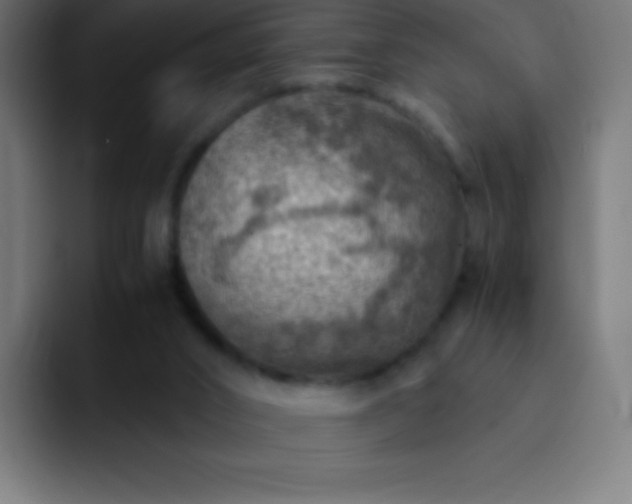 X0000093100016200710031838