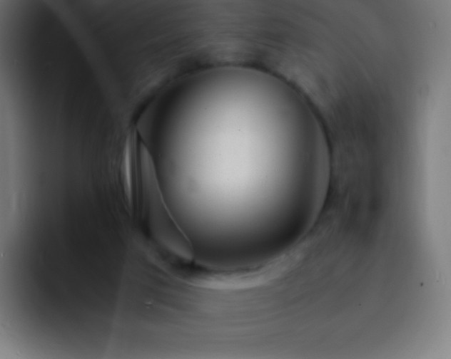 X0000093100017200710031838