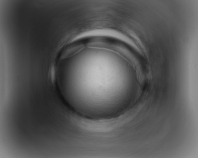 X0000093100019200710031838