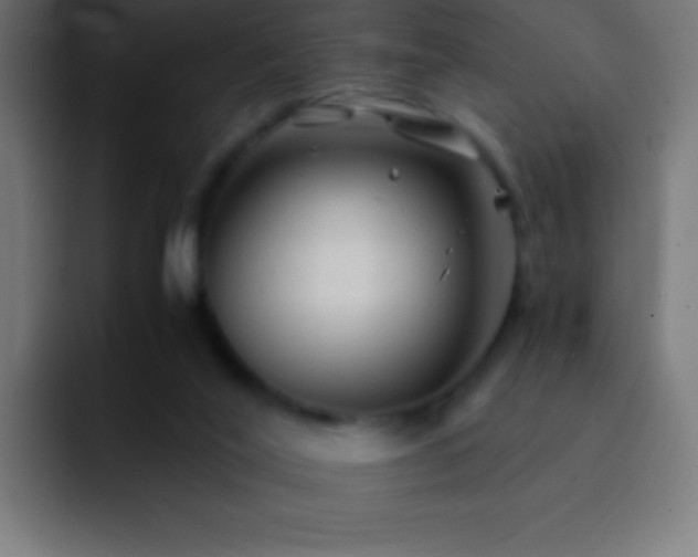 X0000093100020200710031838
