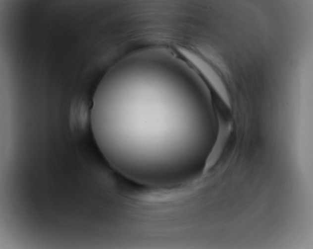 X0000093100021200710031838