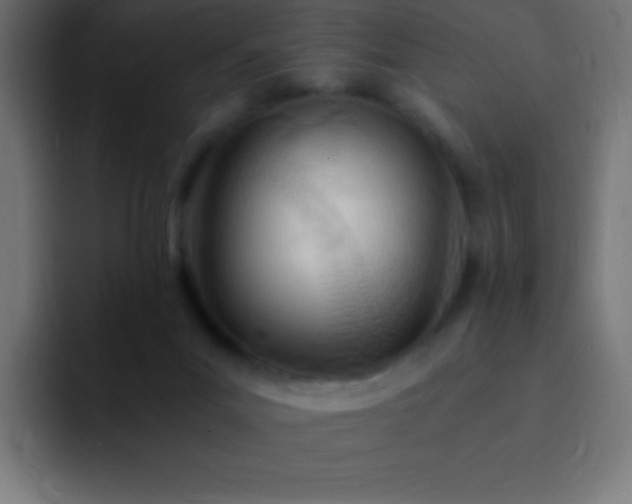 X0000093100023200710031838