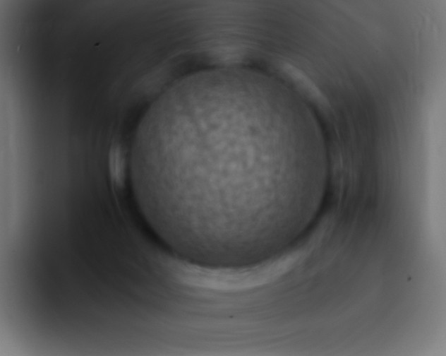X0000093100026200710031838