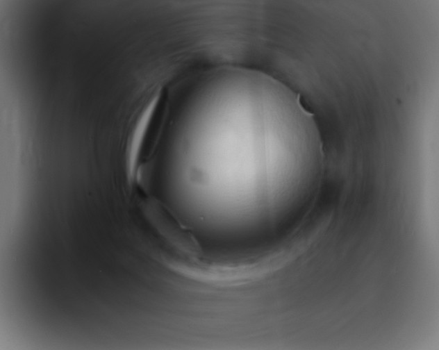 X0000093100027200710031838