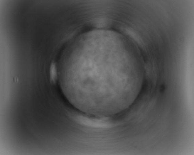 X0000093100028200710031838