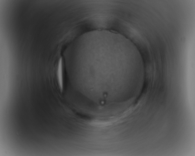 X0000093100029200710031838