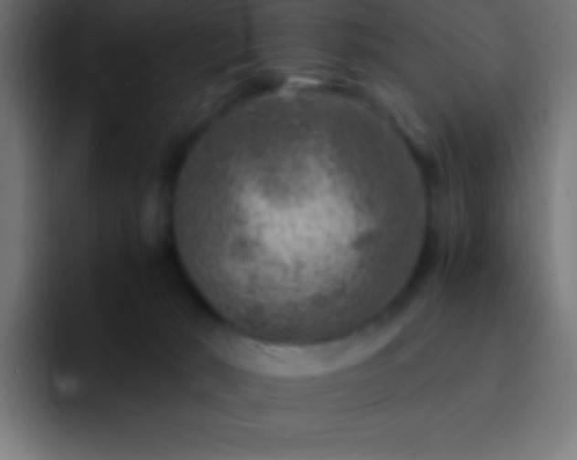 X0000093100030200710031838