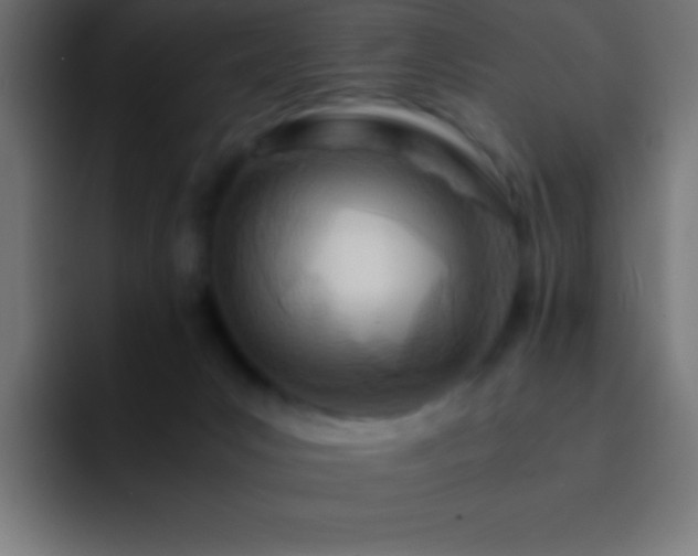 X0000093100031200710031838