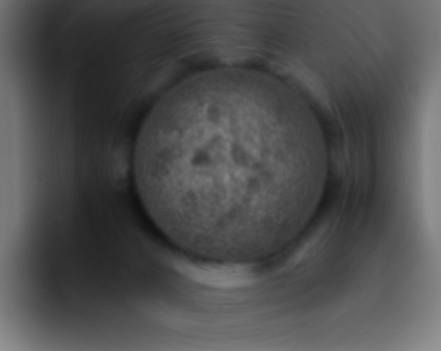 X0000093100032200710031838