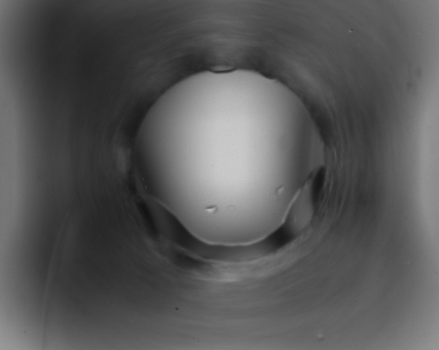 X0000093100033200710031838